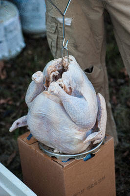 Step By Step Guild on How To Deep Fry a Turkey