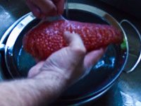 Curing Salmon Roe Caviar
