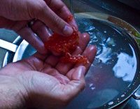 Stumpjack - Stumpjack - Curing Salmon Roe for the Kitchen