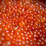 Curing Salmon Roe