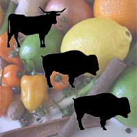Jamaican Jerk Marinade for Beef | Bison | Buffalo