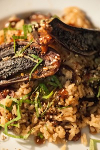 chinese-sausage-and-shrimp-rice-7-300