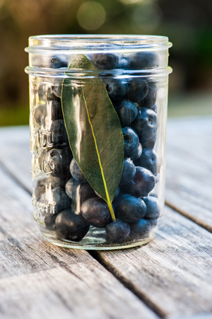 Pickled Blueberries tall